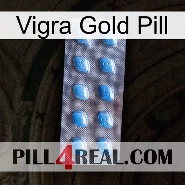 Vigra Gold Pill viagra3.jpg